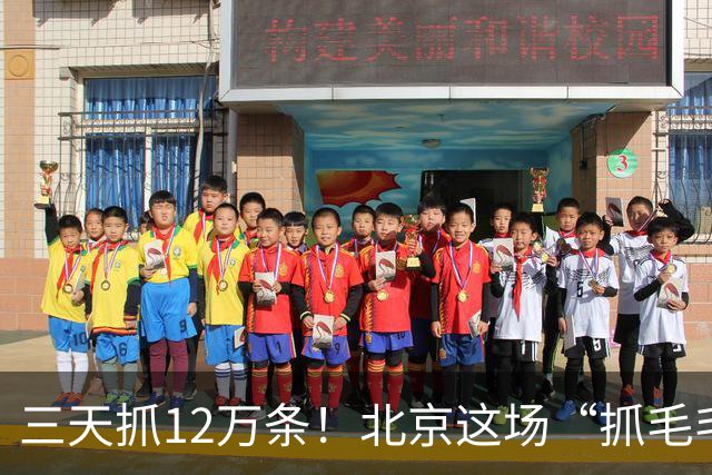 三天抓12万条！北京这场“抓毛毛虫大赛”国庆继续挑战