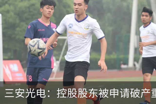 三安光电：控股股东被申请破产重整