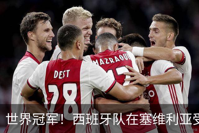 世界冠军！西班牙队在塞维利亚受到球迷热烈欢迎
