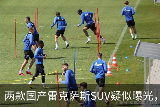 两款国产雷克萨斯SUV疑似曝光，颜值帅气太飒了！