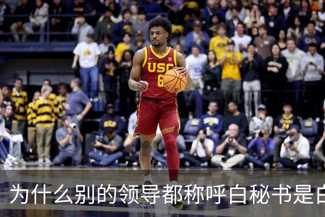 为什么别的领导都称呼白秘书是白处长，唯独高育良敢喊他白秘书？