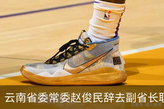 云南省委常委赵俊民辞去副省长职务