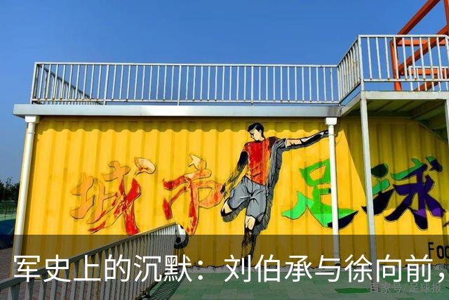 军史上的沉默：刘伯承与徐向前，为何成了毛主席的“例外”？