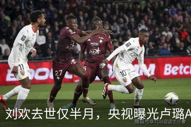 刘欢去世仅半月，央视曝光卢璐AI骗局内幕，半个娱乐圈都曾受其害