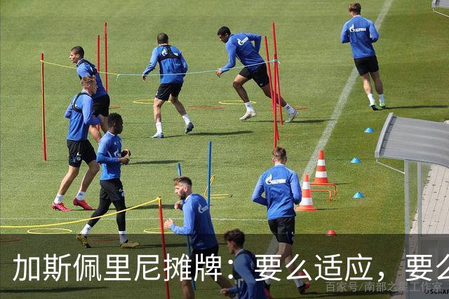 加斯佩里尼摊牌：要么适应，要么承受后果