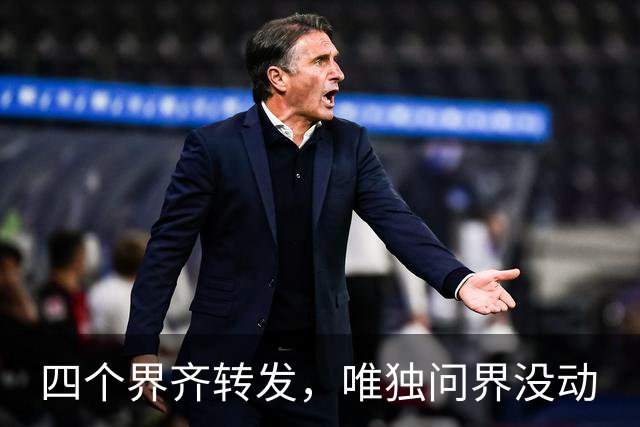 四个"界"齐转发，唯独问界没动