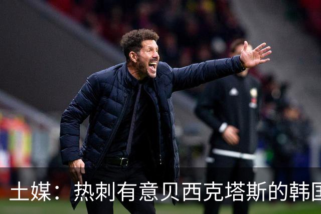 土媒：热刺有意贝西克塔斯的韩国前锋吴贤揆，孙兴慜推荐了他