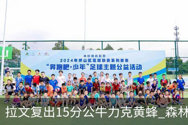 拉文复出15分公牛力克黄蜂 森林狼大胜火箭