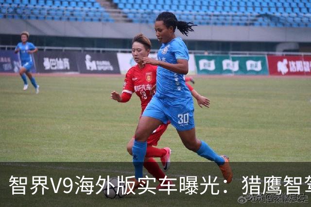 智界V9海外版实车曝光：猎鹰智驾上车，内外设计焕新