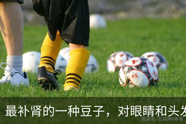 最补肾的一种豆子，对眼睛和头发都好，多吃对身体好，安稳过秋冬