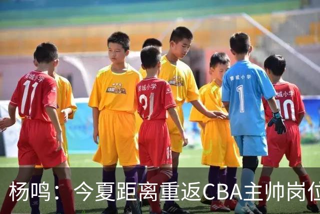 杨鸣：今夏距离重返CBA主帅岗位很近 但有一些选择和不同的看法