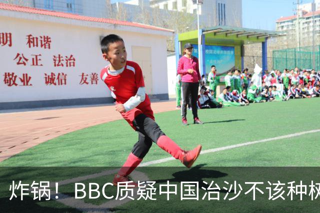 炸锅！BBC质疑中国治沙不该种树，联合国：世界防治荒漠化看中国