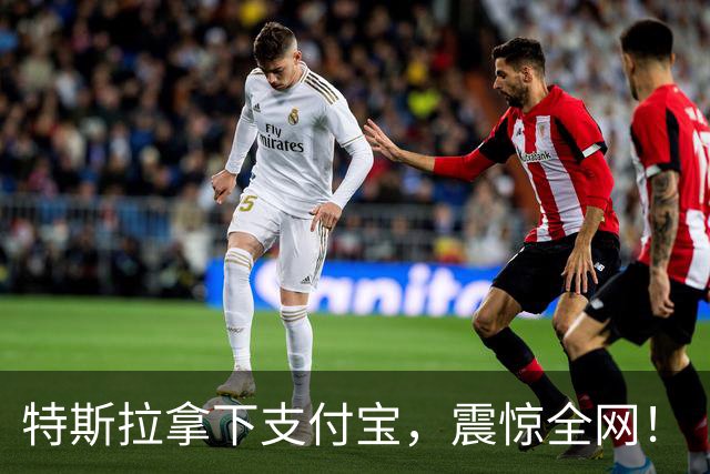 特斯拉拿下支付宝，震惊全网！