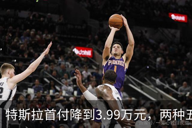 特斯拉首付降到3.99万元，两种五年免息方案怎么选？一文讲清楚