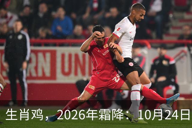生肖鸡，2026年霜降：10月24日-11月7日金气不振，滑坡在即！