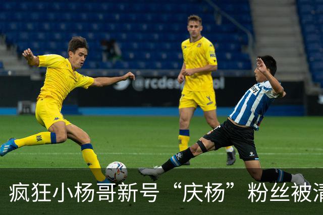 疯狂小杨哥新号“庆杨”粉丝被清零