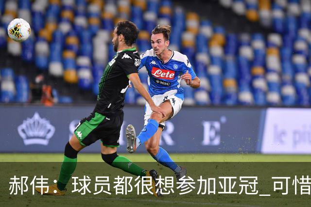 郝伟：球员都很想参加亚冠 可惜赛程跟联赛冲突