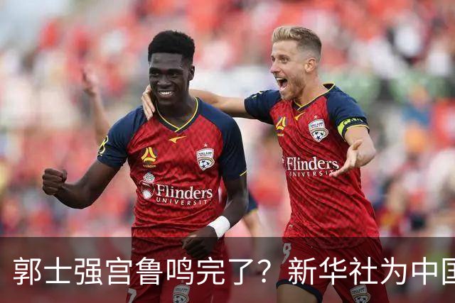 郭士强宫鲁鸣完了？新华社为中国篮球定性 篮协主席郭振明也受影