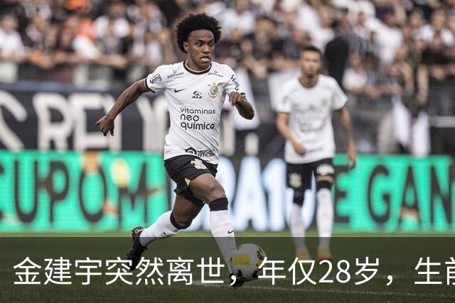 金建宇突然离世，年仅28岁，生前和林孝埈是多年好友