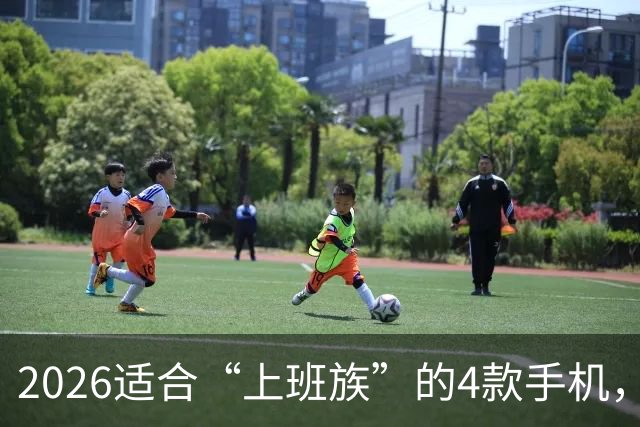 2026适合“上班族”的4款手机，512GB大内存不贵，流畅用到2032年